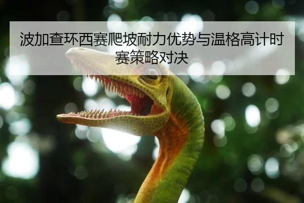 波加查环西赛爬坡耐力优势与温格高计时赛策略对决