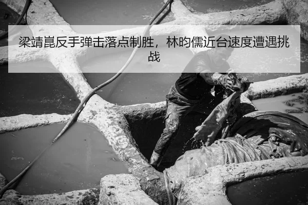 梁靖崑反手弹击落点制胜，林昀儒近台速度遭遇挑战